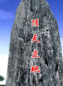元秋(张转男)