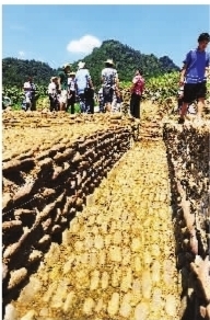 土司古城排水系统 土司古城排水系统