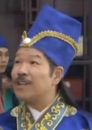 乘龙怪婿