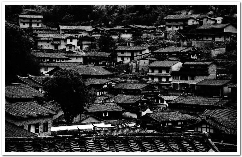 桂峰村 桂峰村