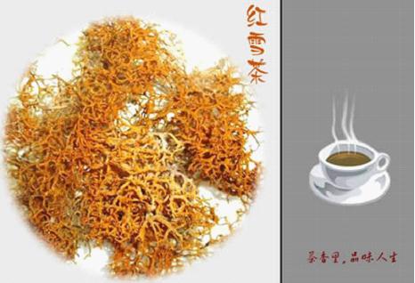 康定红雪茶 康定红雪茶