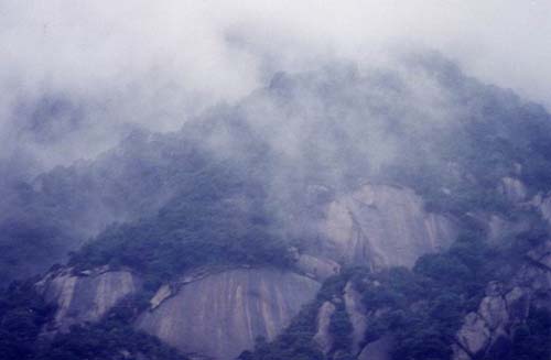 象头山国家自然森林保护区 象头山国家自然森林保护区