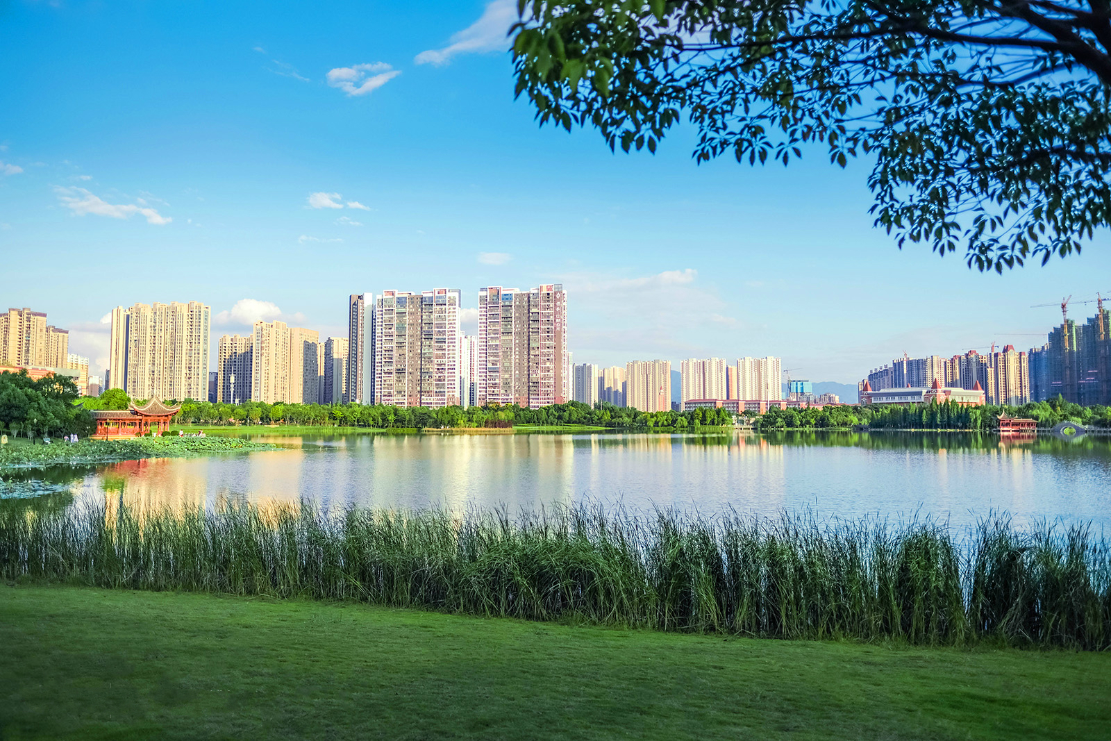 风景优美的赣州城市中央公园 风景优美的赣州城市中央公园