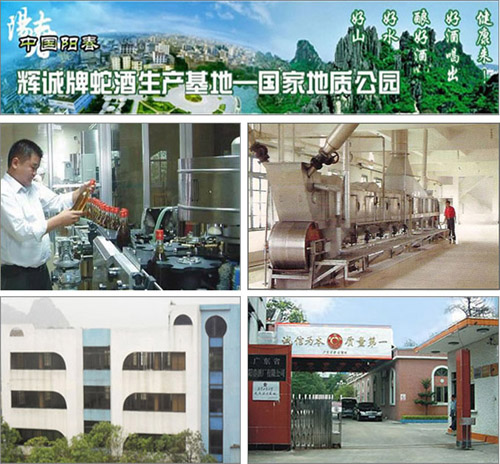 辉诚贸易有限公司 辉诚贸易有限公司