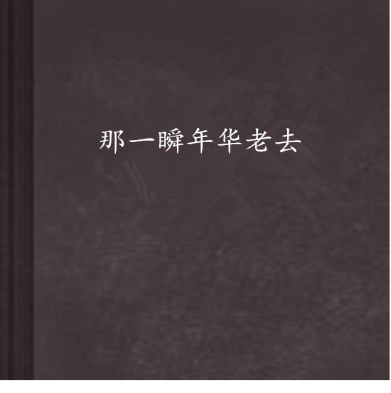 那一瞬年华老去