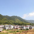 小关村(山西省原平市崞阳镇下辖村) 小关村(山西省原平市崞阳镇下辖村)