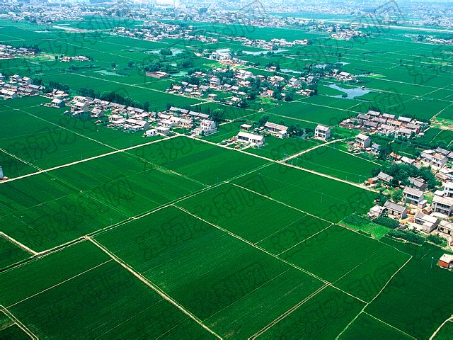 淮北平原 淮北平原