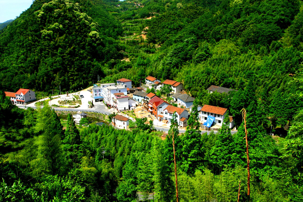 白沙村(广东省清新县太平镇白沙村) 白沙村(广东省清新县太平镇白沙村)