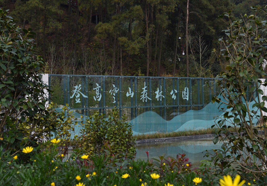 登高云山森林公园 登高云山森林公园