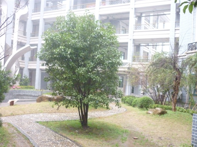 松江二中(集团)初级中学 松江二中(集团)初级中学