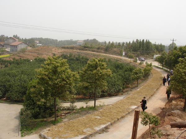乡镇公路 乡镇公路