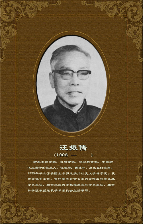 汪振儒 汪振儒