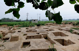 河南新郑胡庄墓地 河南新郑胡庄墓地