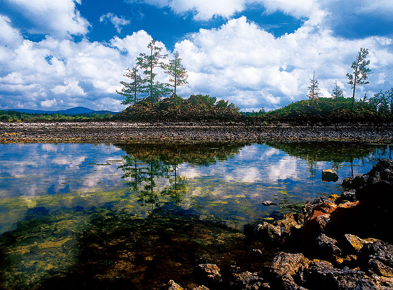 石塘林 石塘林