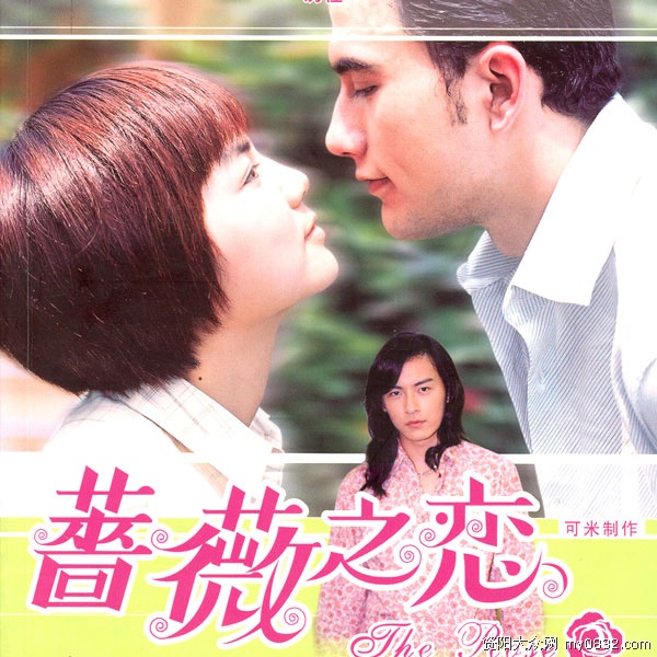 蔷薇之恋(2003年瞿友宁、李慧珠联合执导电视剧)