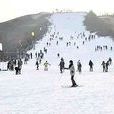 云山滑雪场 云山滑雪场