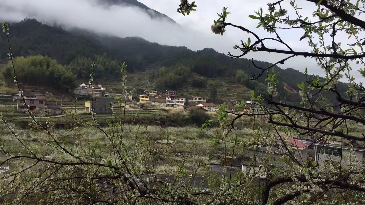 下村乡 下村乡