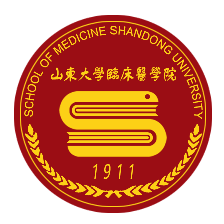 山东大学临床医学院 山东大学临床医学院