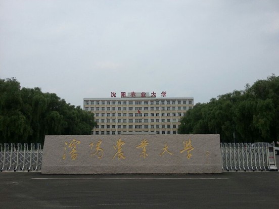 瀋阳农业大学经济管理学院 瀋阳农业大学经济管理学院