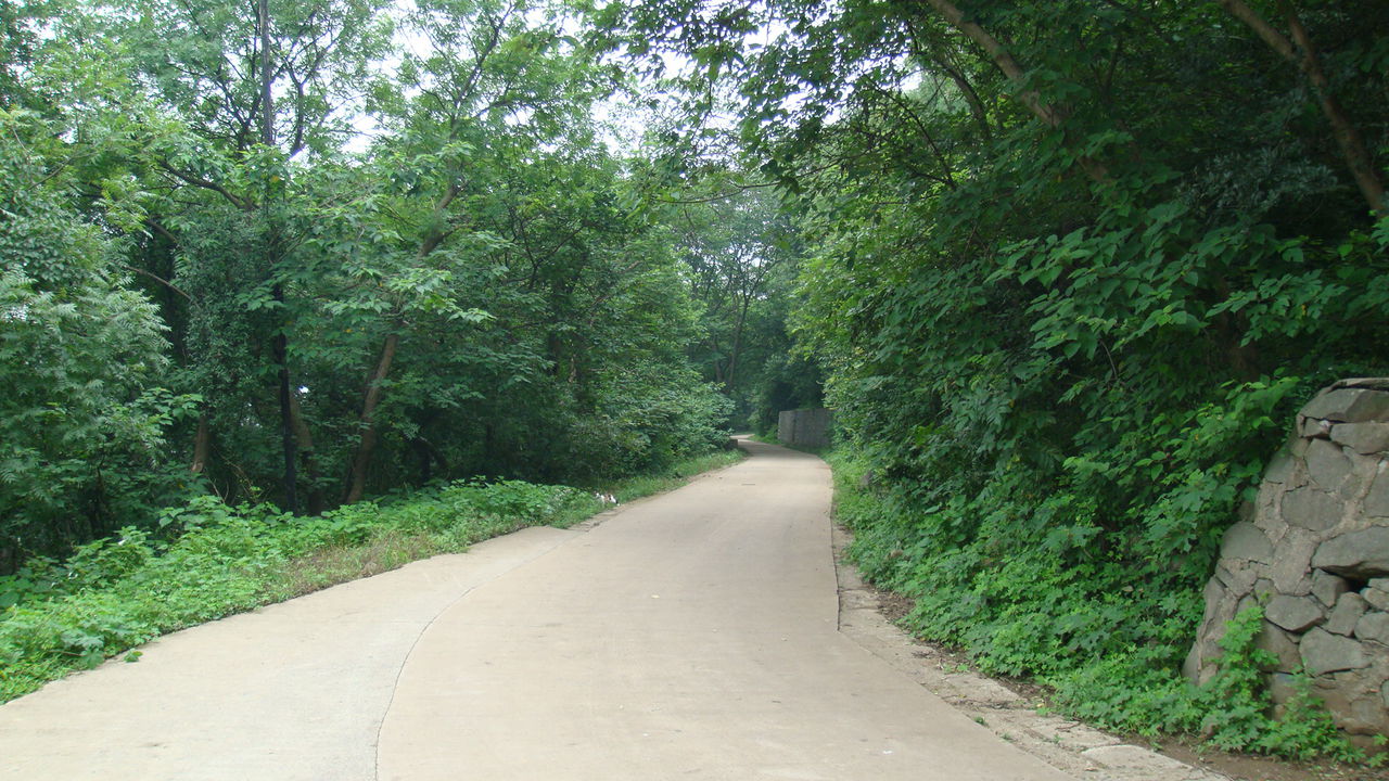 蜀山道 蜀山道