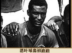 迪迪 迪迪
