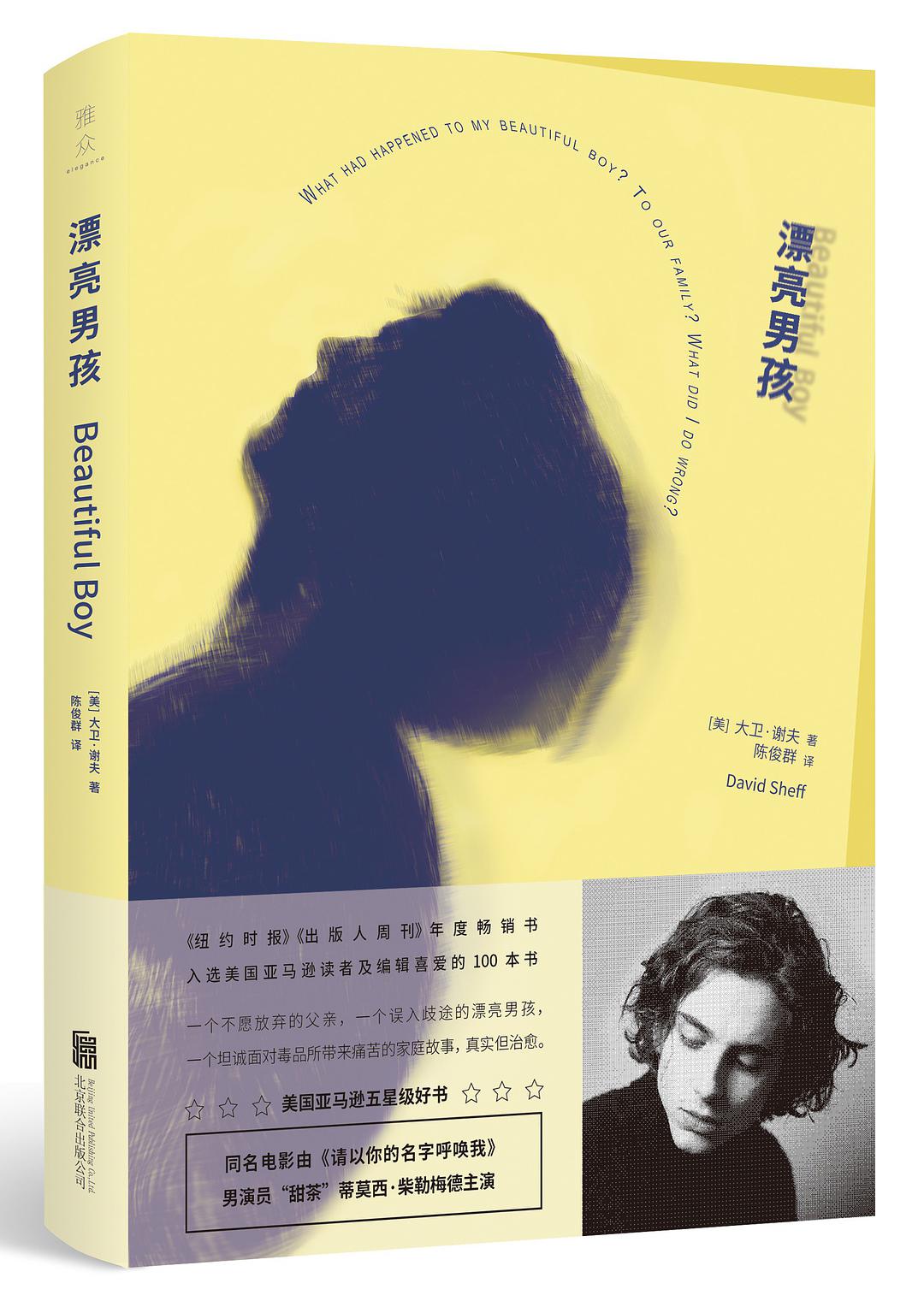 漂亮男孩(大卫·谢夫所着书籍) 漂亮男孩(大卫·谢夫所着书籍)