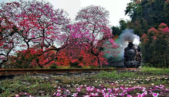 乐山嘉阳国家矿山公园 乐山嘉阳国家矿山公园