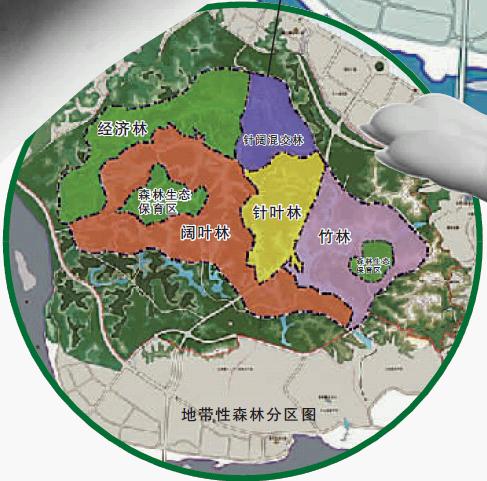 绿心核心区内植被分布示意图 绿心核心区内植被分布示意图