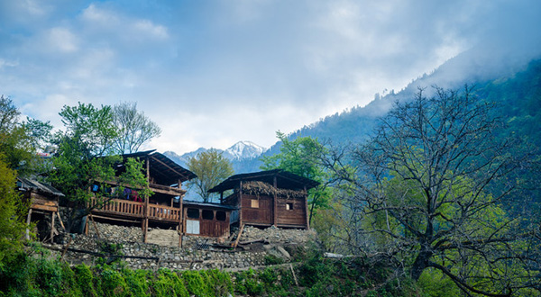 秋那桶村 秋那桶村