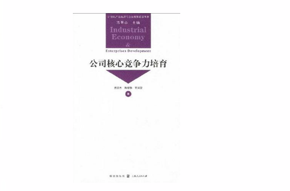 公司核心竞争力培育 公司核心竞争力培育