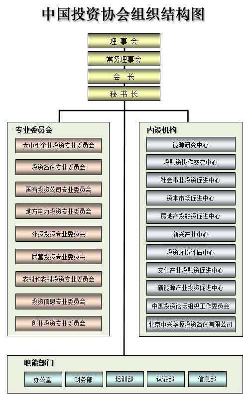 组织结构 组织结构