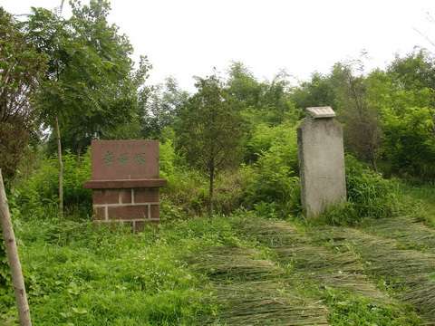 郯城县