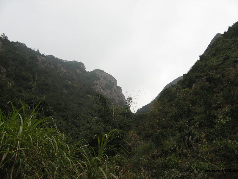 十八重溪 十八重溪