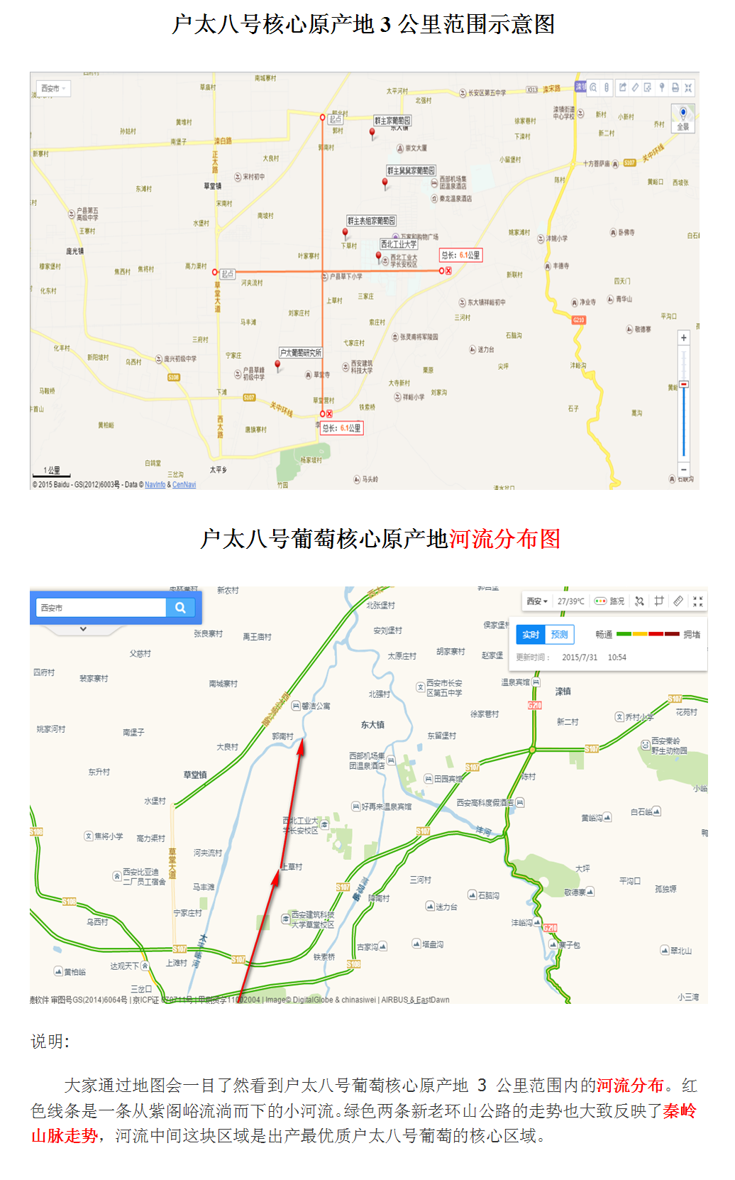 户太八号葡萄 户太八号葡萄