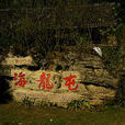 海龙屯(风景区) 海龙屯(风景区)