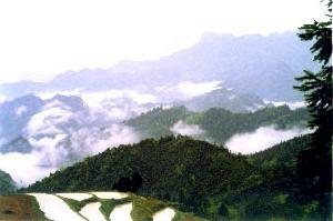 来凤县 来凤县