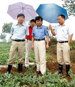 网路围观周森锋 网路围观周森锋