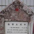 郑赞正