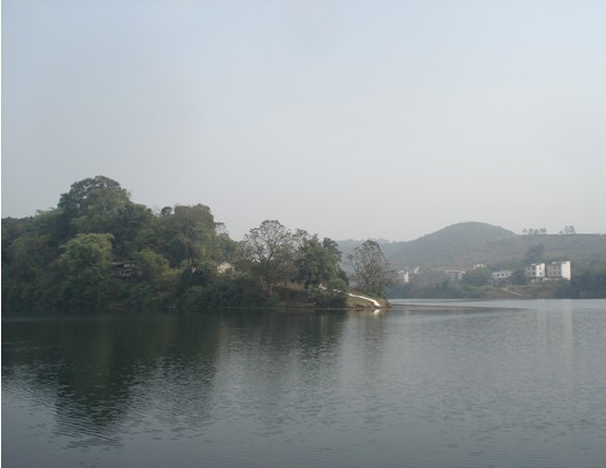 大播村(广东省肇庆市封开县大洲镇下辖村) 大播村(广东省肇庆市封开县大洲镇下辖村)