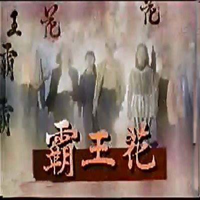 霸王花(1994年萧蔷、李赛凤主演的台剧) 霸王花(1994年萧蔷、李赛凤主演的台剧)