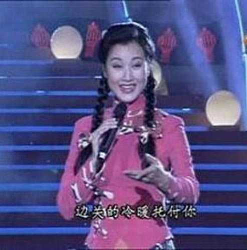 1996年中央电视台春节联欢晚会 1996年中央电视台春节联欢晚会