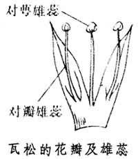 晶体学点群 晶体学点群