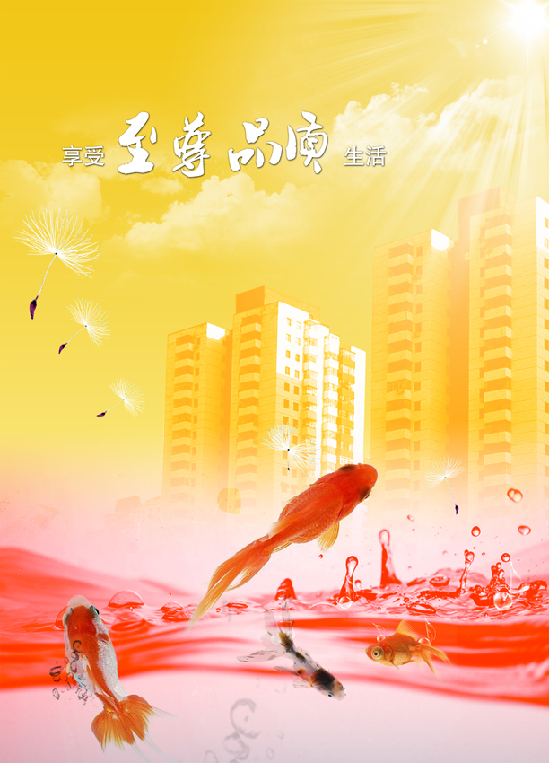 品质 品质