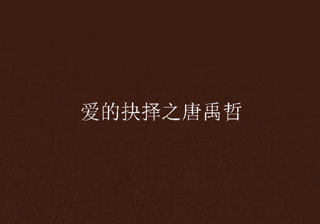 爱的抉择之唐禹哲