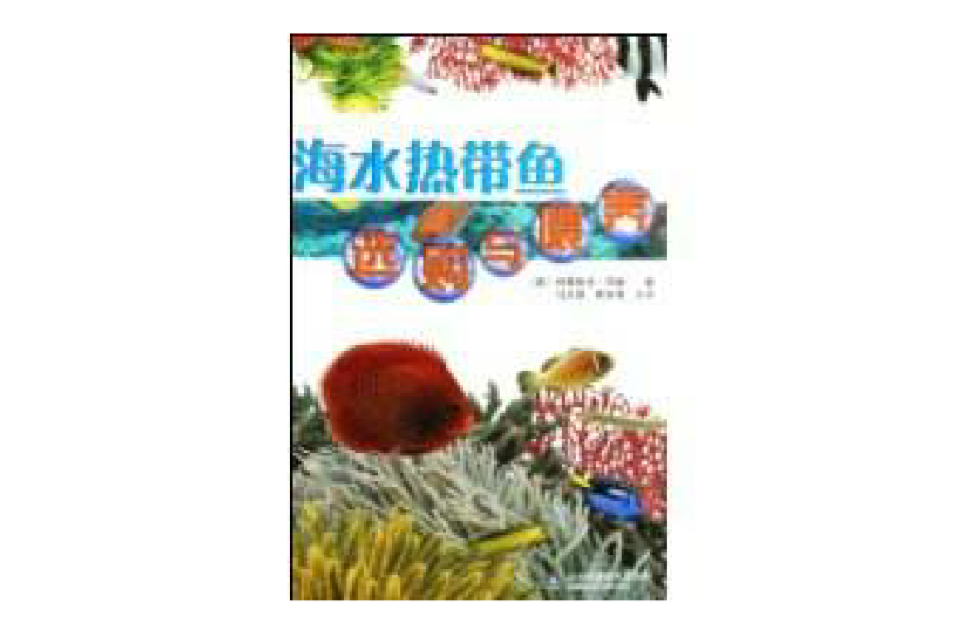 海水热带鱼选购与餵养 海水热带鱼选购与餵养