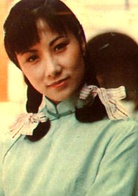 京华春梦(1980年刘松仁、汪明荃主演TVB电视剧)
