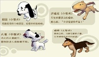 阿猫阿狗大作战OL 阿猫阿狗大作战OL