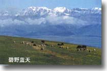 东灵山 东灵山