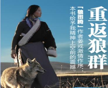 格林(一只与人结缘的奇狼) 格林(一只与人结缘的奇狼)