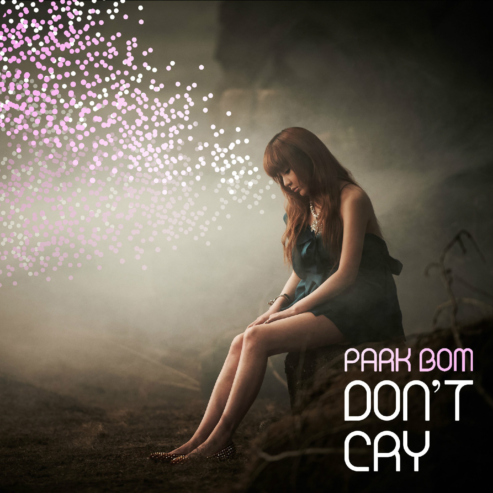 Don\x27t cry(朴春演唱歌曲)